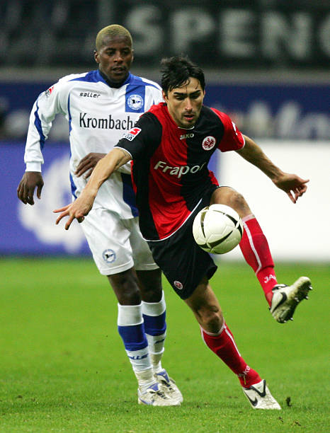 雄鹿队的调 雄鹿队的调